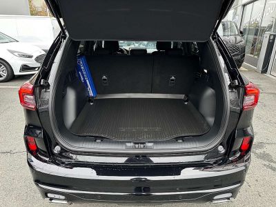 Ford Kuga Vorführwagen