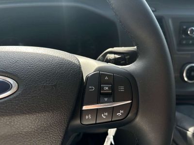 Ford Transit Vorführwagen