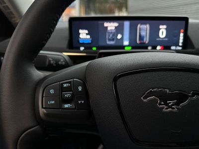 Ford Mustang Mach-E Gebrauchtwagen