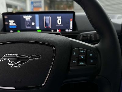 Ford Mustang Mach-E Gebrauchtwagen