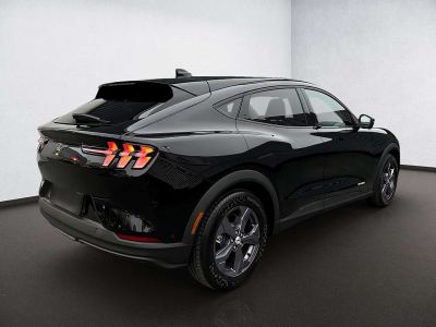 Ford Mustang Mach-E Gebrauchtwagen