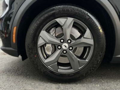 Ford Mustang Mach-E Gebrauchtwagen