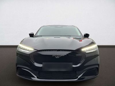 Ford Mustang Mach-E Gebrauchtwagen