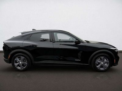 Ford Mustang Mach-E Gebrauchtwagen