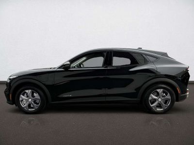 Ford Mustang Mach-E Gebrauchtwagen