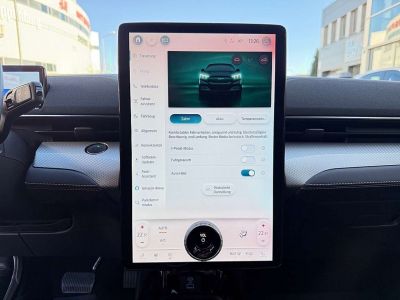 Ford Mustang Mach-E Gebrauchtwagen