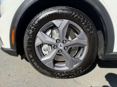 Ford Mustang Mach-E Gebrauchtwagen