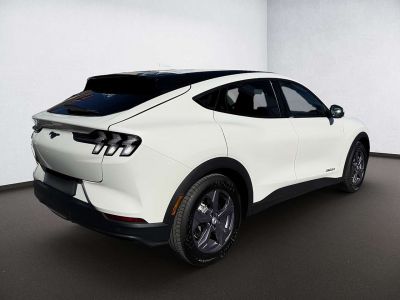 Ford Mustang Mach-E Gebrauchtwagen