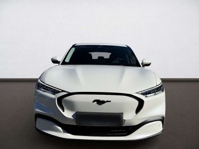 Ford Mustang Mach-E Gebrauchtwagen