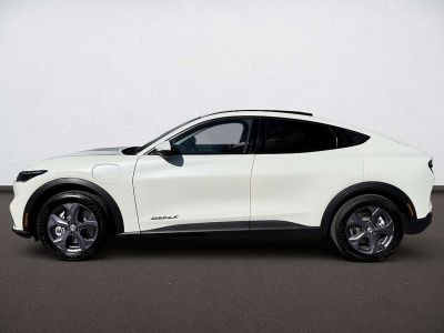 Ford Mustang Mach-E Gebrauchtwagen