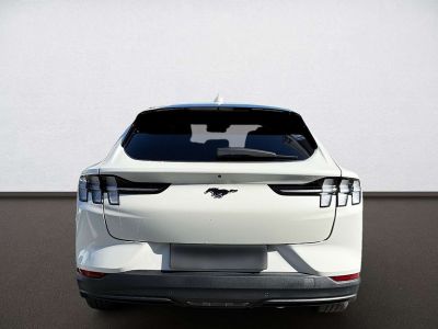 Ford Mustang Mach-E Gebrauchtwagen