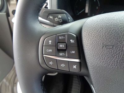 Ford Tourneo Custom Gebrauchtwagen