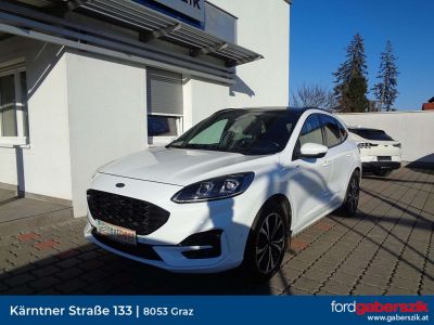 Ford Kuga Gebrauchtwagen Ford Kuga Gebrauchtwagen