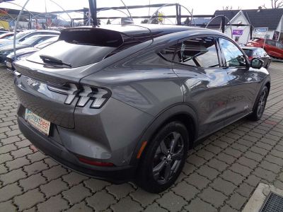 Ford Mustang Mach-E Gebrauchtwagen