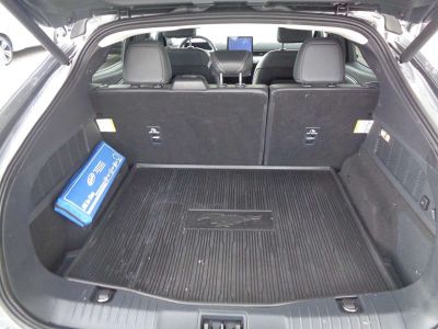 Ford Mustang Mach-E Gebrauchtwagen