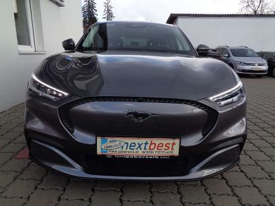 Ford Mustang Mach-E Gebrauchtwagen