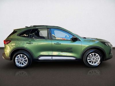 Ford Kuga Vorführwagen