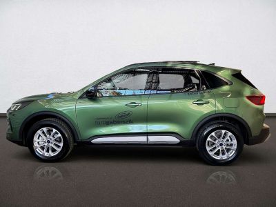 Ford Kuga Vorführwagen