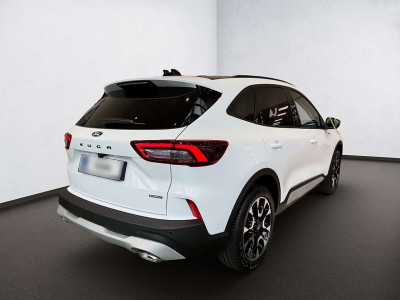 Ford Kuga Vorführwagen