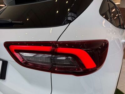 Ford Kuga Vorführwagen