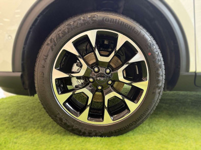 Ford Kuga Vorführwagen