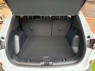 Ford Kuga Vorführwagen