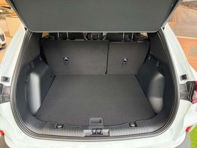 Ford Kuga Vorführwagen