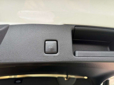 Ford Kuga Vorführwagen