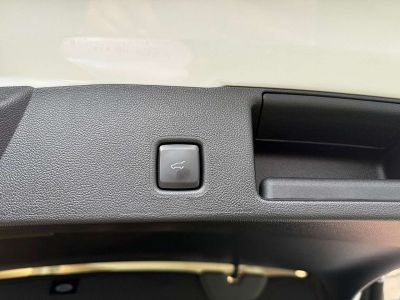 Ford Kuga Vorführwagen