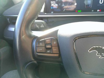 Ford Mustang Mach-E Gebrauchtwagen
