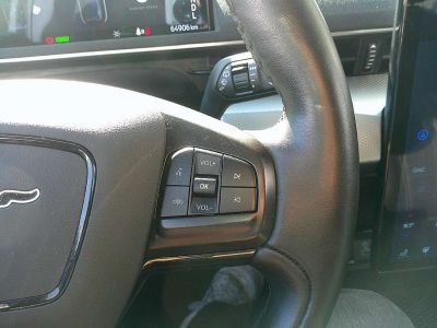 Ford Mustang Mach-E Gebrauchtwagen