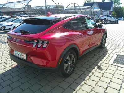 Ford Mustang Mach-E Gebrauchtwagen
