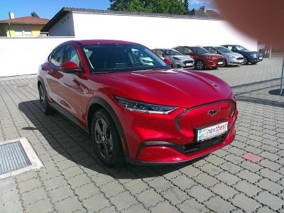 Ford Mustang Mach-E Gebrauchtwagen