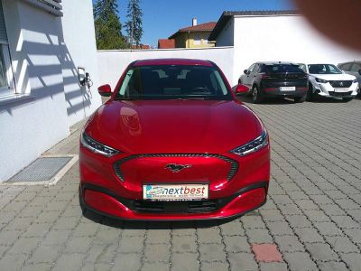 Ford Mustang Mach-E Gebrauchtwagen