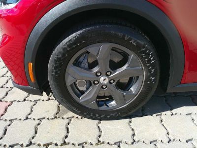 Ford Mustang Mach-E Gebrauchtwagen