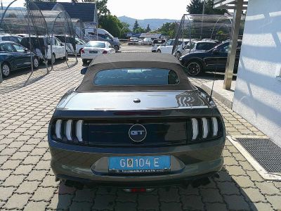 Ford Mustang Gebrauchtwagen