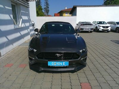 Ford Mustang Gebrauchtwagen