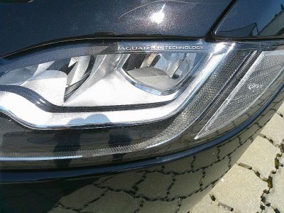 Jaguar XF Gebrauchtwagen Jaguar XF Gebrauchtwagen