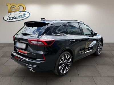 Ford Kuga Vorführwagen