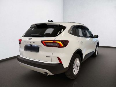 Ford Kuga Neuwagen