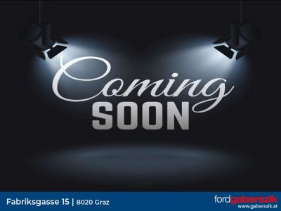 Ford Tourneo Custom Tageszulassung