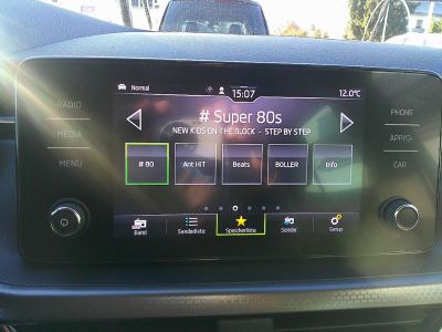 Skoda Kamiq Gebrauchtwagen