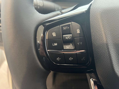 Ford Transit Custom Neuwagen