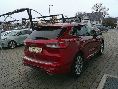 Ford Kuga Gebrauchtwagen