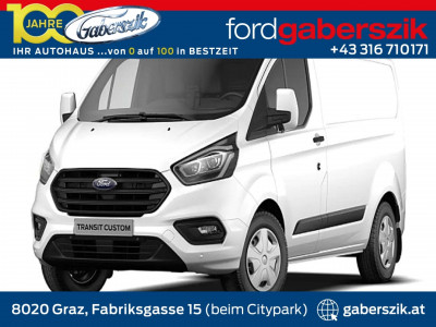 Ford Transit Custom Tageszulassung