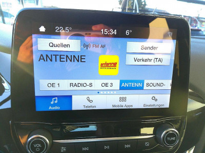 Ford Puma Gebrauchtwagen