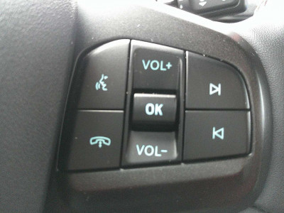 Ford Mustang Mach-E Gebrauchtwagen Ford Mustang Mach-E Gebrauchtwagen