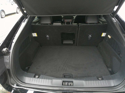 Ford Mustang Mach-E Gebrauchtwagen Ford Mustang Mach-E Gebrauchtwagen