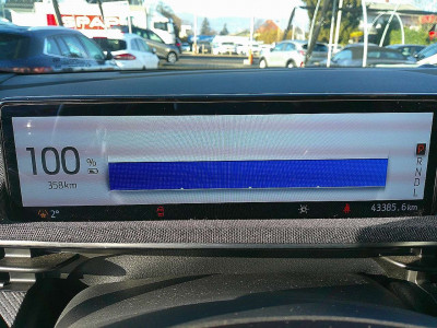 Ford Mustang Mach-E Gebrauchtwagen