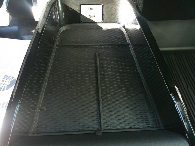 Ford Mustang Mach-E Gebrauchtwagen